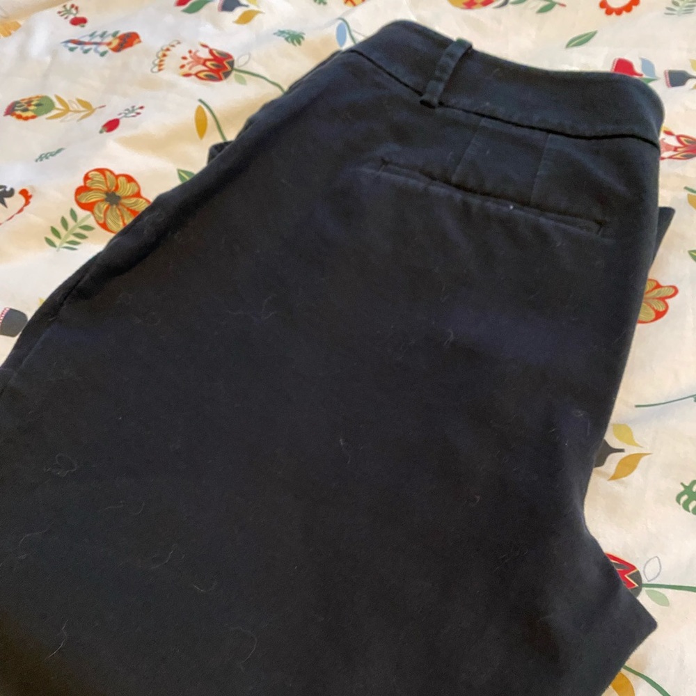 Ann Taylor Factory Cropped Pants
